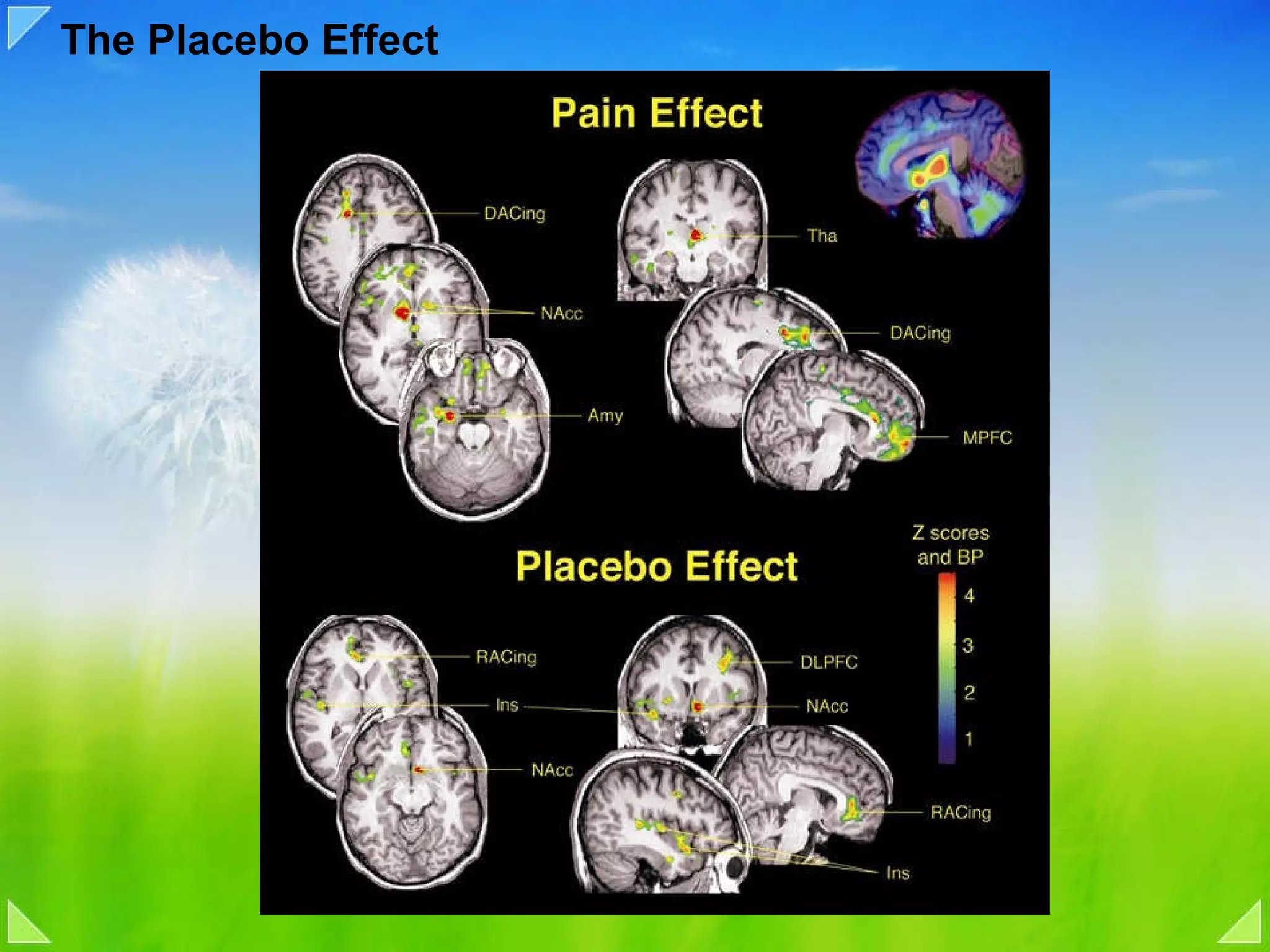 The Placebo Effect 