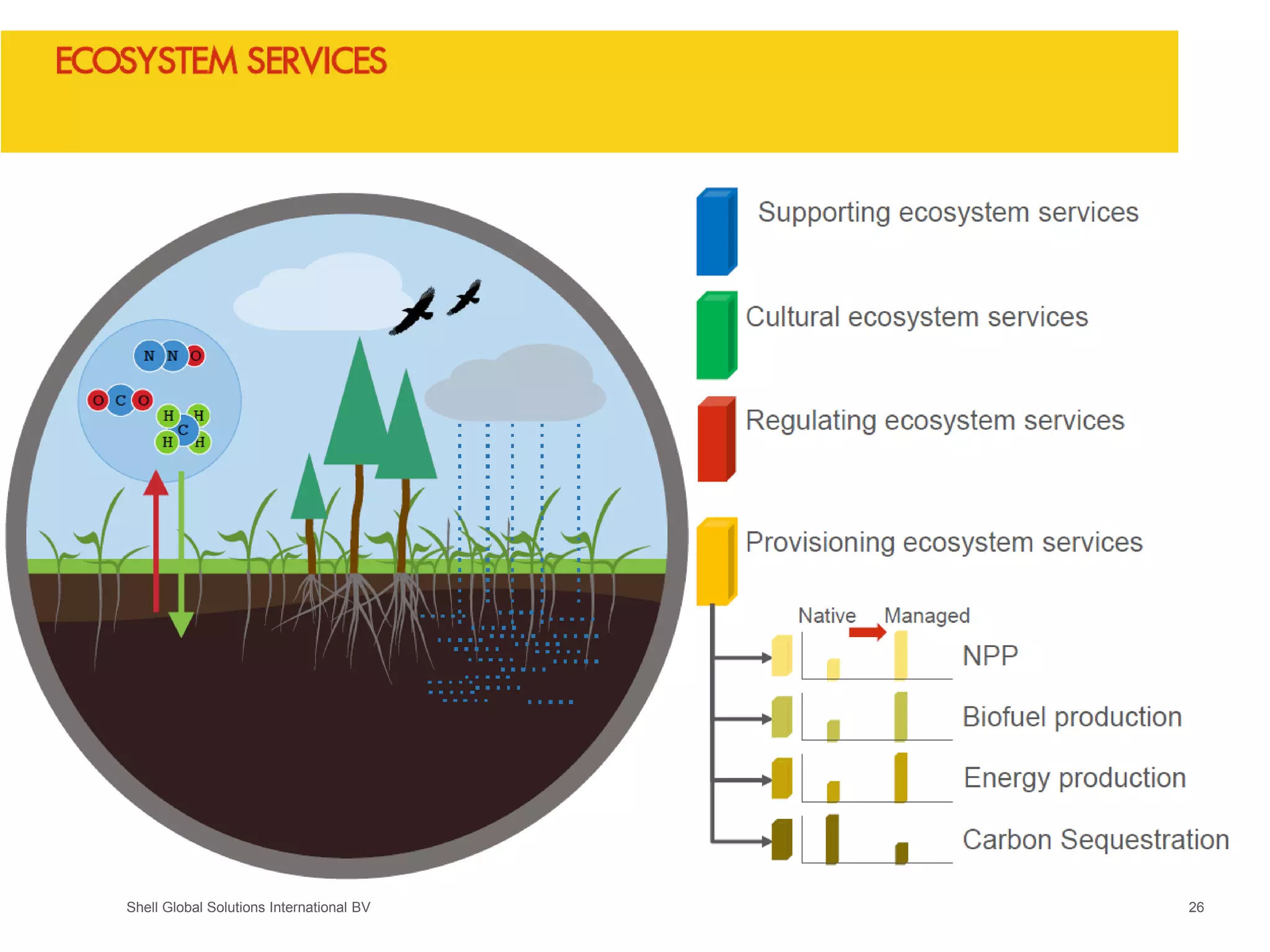 Shell Global Solutions International BV 26
 