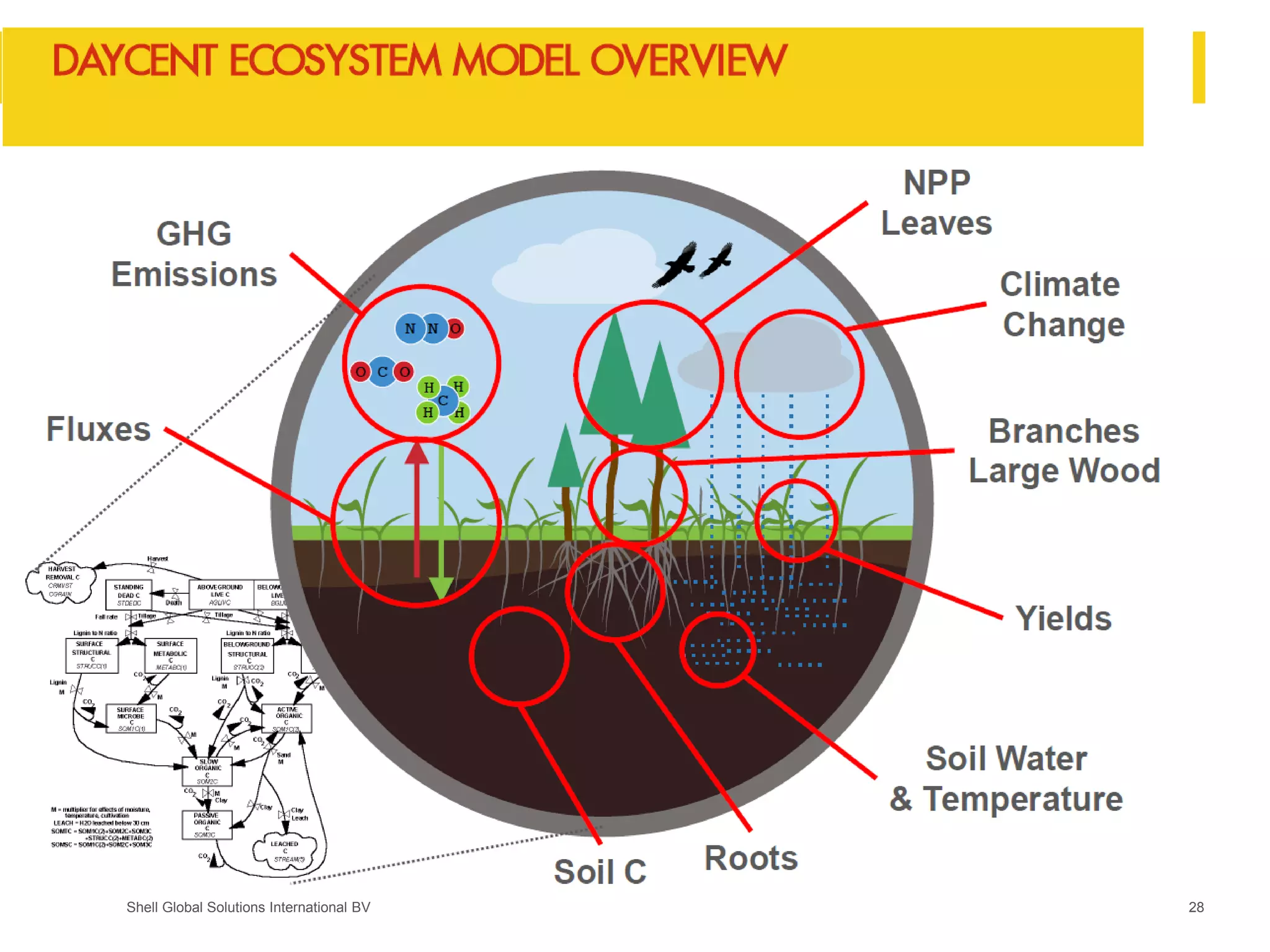 Shell Global Solutions International BV 28
 
