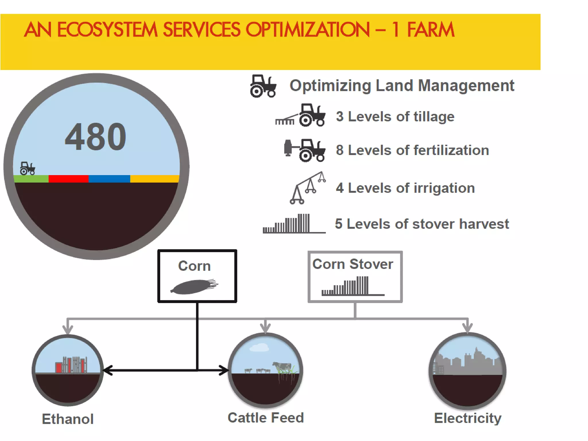 Shell Global Solutions International BV 31
 