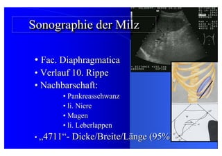 06 Sonographie Der Milz Lymphknotenver nderungen Im Abdomen 06 Sonographie Der Milz Lymphknotenver nderungen Im Abdomen