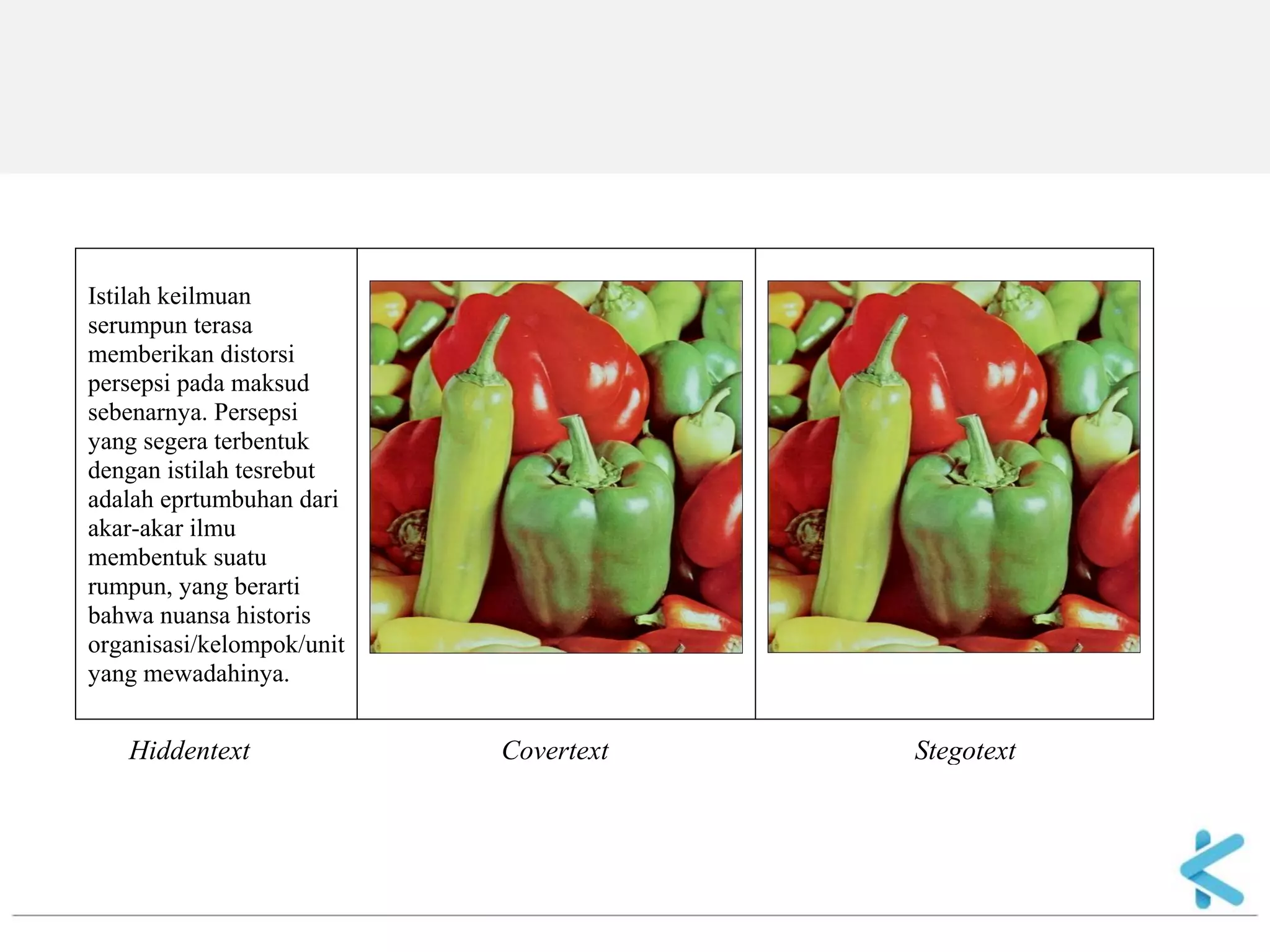 Istilah keilmuan serumpun terasa memberikan distorsi persepsi pada maksud sebenarnya. Persepsi yang segera terbentuk dengan istilah tesrebut adalah eprtumbuhan dari akar-akar ilmu membentuk suatu rumpun, yang berarti bahwa nuansa historis organisasi/kelompok/unit yang mewadahinya. Hiddentext Covertext Stegotext  