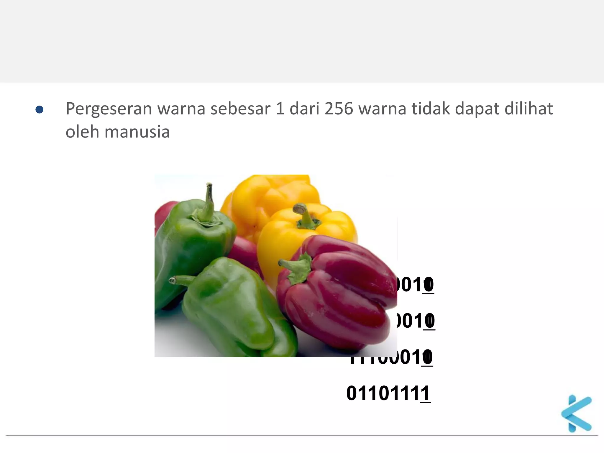 PESAN RAHASIA : 
LEDAKAN BOM PUKUL 13.00! 
0 
00110011 
10100010 
11100010 
01101111 
1 
1 
1 
00110010 
10100011 
11100011 
Pergeseran warna sebesar 1 dari 256 warna tidak dapat dilihat oleh manusia  