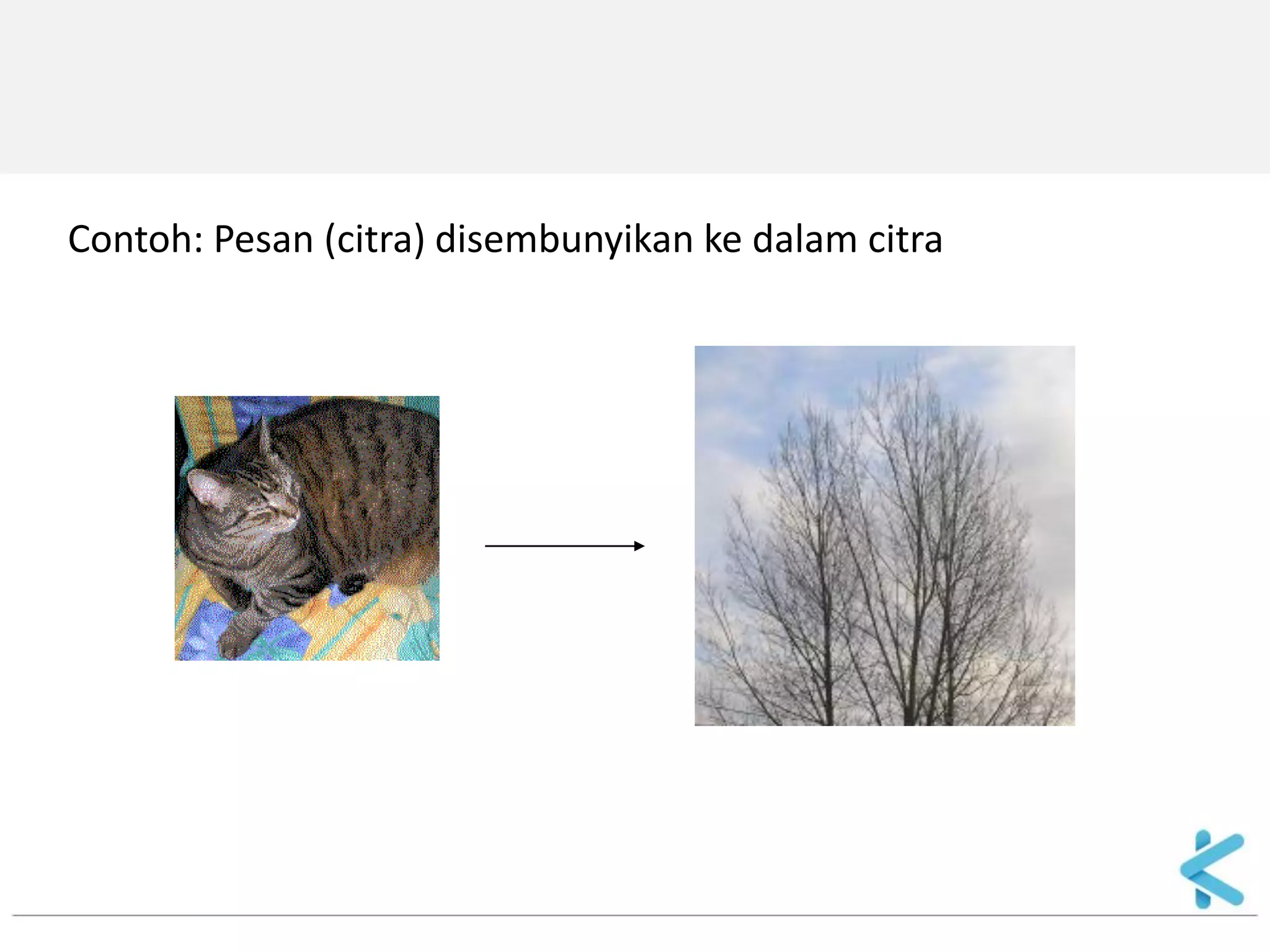 Contoh: Pesan (citra) disembunyikan ke dalam citra  