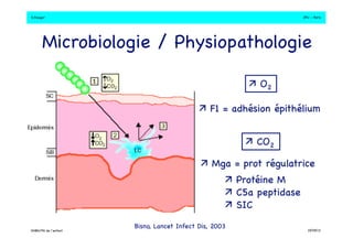 S.Dauger!JPU - Paris! 
Microbiologie / Physiopathologie! 
Bisno, Lancet Infect Dis, 2003! 
DHBN/FN de l’enfant!19/09/13! 
 