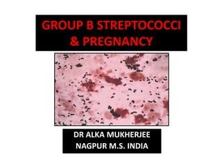 GROUP B STREPTOCOCCI
& PREGNANCY
DR ALKA MUKHERJEE
NAGPUR M.S. INDIA
 