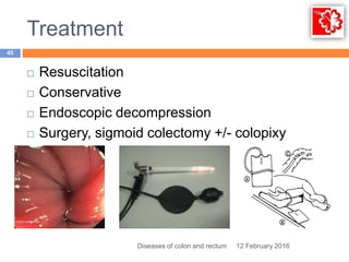 06 surgical disease colon and rectum tutorial hajhamad m msu | PPTX