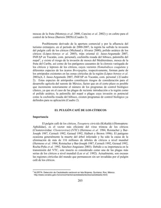 203
moscas de la fruta (Montoya et al. 2000, Cancino et al. 2002) y en cafeto para el
control de la broca (Barrera 2005b) (Cuadro 2).
Posiblemente derivado de la apertura comercial y por la afluencia del
turismo extranjero, en el período de 2000-2007, la región ha sufrido la invasión
del pulgón café de los cítricos (Michaud y Alvarez 2000), psílido asiático de los
cítricos (López-Arroyo et al. 2005), trips oriental (J. Jasso-Argumedo 2007,
INIFAP en Yucatán, com. personal), cochinilla rosada del hibisco, palomilla del
nopal2
, y existe el riesgo de la invasión de mosca del Mediterráneo, mosca de la
fruta del Caribe, así como de los patógenos causantes de la clorosis variegada de
los cítricos y leprosis de los cítricos, cuyos vectores Homalodisca coagulata y
diferentes especies de los ácaros Brevipaplus, respectivamente, forman parte de
los artrópodos existentes en las zonas citrícolas de la región (López-Arroyo et al.
2003a,b, J. Jasso-Argumedo 2007, INIFAP en Yucatán, com. personal ) (Cuadro
2). Estas especies de artrópodos constituyen riesgos de consideración para el
desarrollo agrícola del sureste de México, factor que en el corto plazo es posible
que incremente notoriamente el número de los programas de control biológico
clásico, ya que en el caso de las plagas de reciente introducción a la región como
el psílido asiático, la palomilla del nopal o plagas cuya invasión es potencial
como la cochinilla rosada del hibisco, existen programas de control biológico ya
definidos para su aplicación (Cuadro 2).
EL PULGÓN CAFÉ DE LOS CÍTRICOS
Importancia
El pulgón café de los cítricos, Toxoptera citricida (Kirkaldy) (Homoptera:
Aphididae), es el vector más eficiente del virus tristeza de los cítricos
(Closteroviridae: Closterovirus) (VTC) (Hermoso et al. 1984, Roistacher y Bar-
Joseph 1987, Cermeli 1992, Geraud 1992, Halbert y Brown 1996). El patógeno
ocasiona generalmente la muerte del árbol infectado y ha sido la causa de la
eliminación de más de 116 millones de árboles de cítricos a nivel mundial
(Hermoso et al. 1984, Roistacher y Bar-Joseph 1987, Cermeli 1992, Geraud 1992,
Rocha-Peña et al. 1992, Sánchez-Anguiano 2003). Debido a su importancia en la
transmisión del VTC, este insecto es considerado como una de las plagas más
serias de los cítricos a nivel mundial (Lee et al. 1992). Actualmente, son escasas
las regiones citrícolas del mundo que permanecen sin ser invadidas por el pulgón
café de los cítricos.
2
ALERTA: Detección de Cactoblastis cactorum en Isla Mujeres, Quintana, Roo, México.
http://www.conabio.gob.mx/conocimiento/cactoblastis/doctos/cactoblastis.html)
 