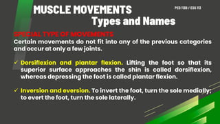 Comprehensive Overview of Upper and Lower Limb Muscles and Their ...