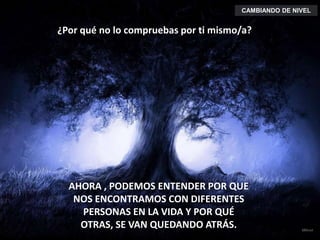 ¿Por qué no lo compruebas por ti mismo/a?
AHORA , PODEMOS ENTENDER POR QUE
NOS ENCONTRAMOS CON DIFERENTES
PERSONAS EN LA VIDA Y POR QUÉ
OTRAS, SE VAN QUEDANDO ATRÁS.
CAMBIANDO DE NIVEL
 