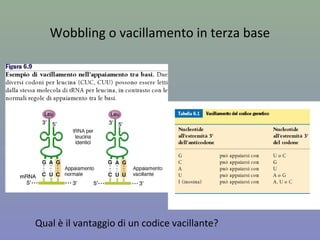 Wobbling o vacillamento in terza base
Qual è il vantaggio di un codice vacillante?
 