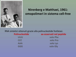 Nirenberg e Matthaei, 1961:
omopolimeri in sistema cell-free
RNA sintetici ottenuti grazie alla polinucleotide fosfatasi.
Polinucleotide aa osservati nel peptide
UUU solo Phe
CCC solo Pro
AAA solo Lys
GGG solo Gly
 