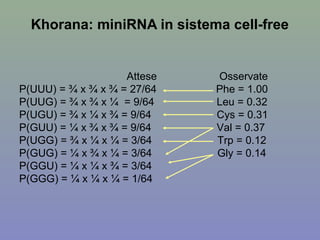 Khorana: miniRNA in sistema cell-free
Attese Osservate
P(UUU) = ¾ x ¾ x ¾ = 27/64 Phe = 1.00
P(UUG) = ¾ x ¾ x ¼ = 9/64 Leu = 0.32
P(UGU) = ¾ x ¼ x ¾ = 9/64 Cys = 0.31
P(GUU) = ¼ x ¾ x ¾ = 9/64 Val = 0.37
P(UGG) = ¾ x ¼ x ¼ = 3/64 Trp = 0.12
P(GUG) = ¼ x ¾ x ¼ = 3/64 Gly = 0.14
P(GGU) = ¼ x ¼ x ¾ = 3/64
P(GGG) = ¼ x ¼ x ¼ = 1/64
 