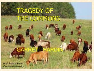TRAGEDY OF
THE COMMONS

GARRETT HARDIN
Prof. Prabha Panth
Osmania University

 