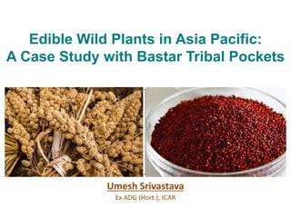 Edible Wild Plants in Asia Pacific:
A Case Study with Bastar Tribal Pockets
Umesh Srivastava
Ex ADG (Hort.), ICAR
 