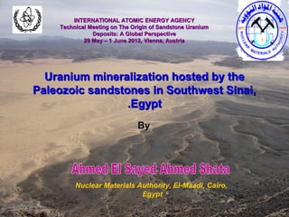 INTERNATIONAL ATOMIC ENERGY AGENCY
    Technical Meeting on The Origin of Sandstone Uranium
               Deposits: A Global Perspective
            29 May – 1 June 2012, Vienna, Austria




  Uranium mineralization hosted by the
Paleozoic sandstones in Southwest Sinai,
                 .Egypt
                               By




         Nuclear Materials Authority, El-Maadi, Cairo,
                            Egypt
 