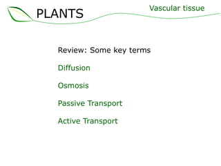 PLANTS

Vascular tissue

Review: Some key terms
Diffusion
Osmosis
Passive Transport
Active Transport

 
