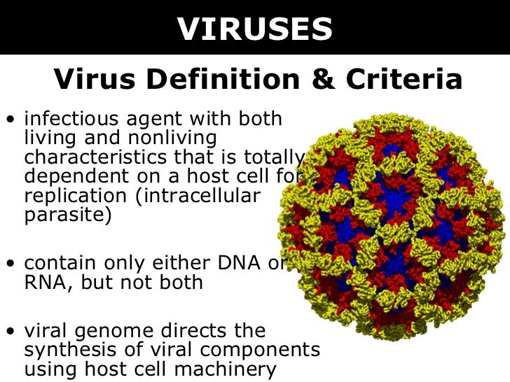 What Is A Virus Definition Simple At Caitlyn Buvelot Blog 06 Viruses 3 728