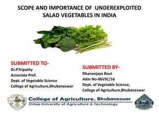SCOPE AND IMPORTANCE OF UNDEREXPLOITED
SALAD VEGETABLES IN INDIA
SUBMITTED TO-
Dr.P.Tripathy
Associate Prof.
Dept. of Vegetable Science
College of Agriculture,Bhubaneswar
SUBMITTED BY-
Dhananjaya Rout
Adm No-06VSC/16
Dept. of Vegetable Science,
College of Agriculture,Bhubaneswar
 