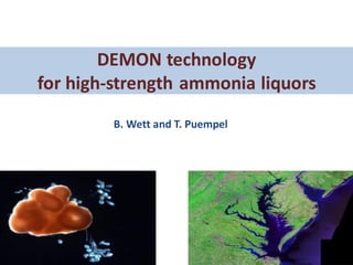 DEMON technology
for high-strength ammonia liquors
B. Wett and T. Puempel
 