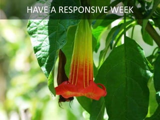 HAVE A RESPONSIVE WEEK
 