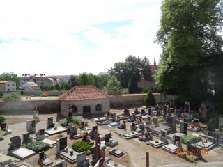 NTREM Symposium 1-3 April 2020