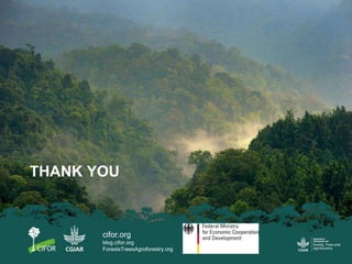 Migration, property rights and livelihoods on Peruvian forest frontiers