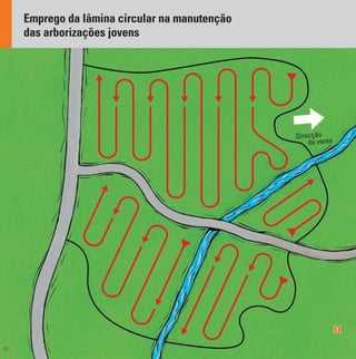 22
Emprego da lâmina circular na manutenção
das arborizações jovens
1
Direcção
do vento
 