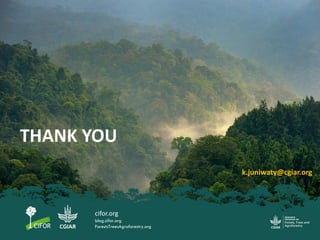 Emergent dynamics of migration and their potential effects on forest and land use in North Kalimantan, Indonesia