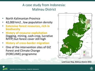 Emergent dynamics of migration and their potential effects on forest and land use in North Kalimantan, Indonesia