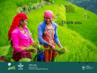 What is the impact of out-migration for employment purposes on peoples and land?