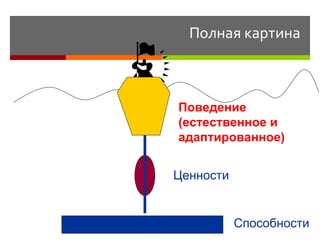 Полная картина Способности Ценности Поведение  (естественное и адаптированное) 