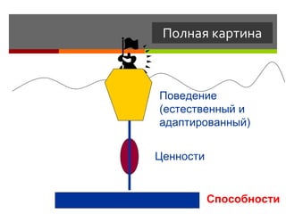 Полная картина Способности Ценности Поведение  (естественный и  адаптированный) 