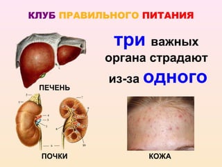 КЛУБ ПРАВИЛЬНОГО ПИТАНИЯ

            три важных
           органа страдают
           из-за одного
 ПЕЧЕНЬ




 ПОЧКИ           КОЖА
 
