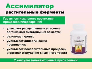 Ассимилятор
 растительные ферменты
Гарант оптимального протекания
процессов пищеварения!

• улучшает расщепление и усвоение
  организмом питательных веществ;
• разжижает кровь;
• уменьшает аллергические
  проявления;
• уменьшает воспалительные процессы
  в органах желудочно-кишечного тракта

      2 капсулы заменяют целый пучок зелени!
 