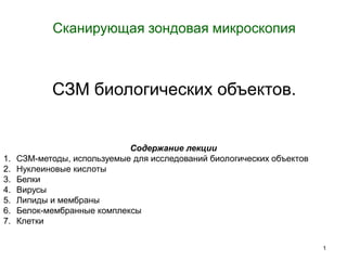 1
Сканирующая зондовая микроскопия
СЗМ биологических объектов.
Содержание лекции
1. СЗМ-методы, используемые для исследований биологических объектов
2. Нуклеиновые кислоты
3. Белки
4. Вирусы
5. Липиды и мембраны
6. Белок-мембранные комплексы
7. Клетки
 