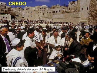 CREDO

Explanada, delante del muro del Templo.

 