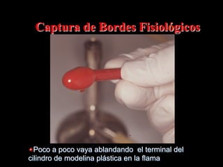 Captura de Bordes Fisiológicos

"  Poco a poco vaya ablandando el terminal del
cilindro de modelina plástica en la flama

 