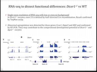 RNA-seq to dissect functional differences: Dicer1-/- vs WT

0 Single-exon resolution of RNA-seq with low or even no background:
in Dicer1-/- oocytes, exon 23 is deleted by loxP-directed Cre recombination. Result confirmed
by TaqMan assay.
0 Abnormal upregulation was detected for three genes Ccne1, Dppa5 and Klf2 and confirmed
by RT-PCR. They may contribute to the compromised developental potential of Dicer1-/- and
Ago2-/- oocytes

 