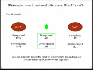 RNA-seq to dissect functional differences: Dicer1-/- vs WT

Overall results

Dicer1-/Upregulated
1696

Downregulated
1571

Ago2-/Upregulated
619

Downregulated
589

Upregulated
1553

Downregulated
1121

Core candidates to dissect the function of microRNAs and endogenous
small interfering RNAs involved in oogenesis

 