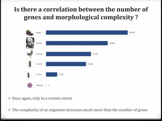 Is there a correlation between the number of
genes and morphological complexity ?

0 Once again, only to a certain extent

0 The complexity of an organism increases much more than the number of genes

 