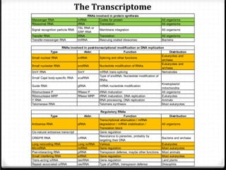 The Transcriptome
Messenger RNA
Ribosomal RNA
Signal recognition particle RNA
Transfer RNA
Transfer-messenger RNA

RNAs involved in protein synthesis
mRNA
Codes for protein
rRNA
Translation
7SL RNA or
Membrane integration
SRP RNA
tRNA
Translation
tmRNA
Rescuing stalled ribosomes

All organisms
All organisms
All organisms
All organisms
Bacteria

RNAs involved in post-transcriptional modification or DNA replication
Type
Abbr.
Function
Distribution
Eukaryotes and
Small nuclear RNA
snRNA
Splicing and other functions
archaea
Eukaryotes and
Small nucleolar RNA
snoRNA
Nucleotide modification of RNAs
archaea
SmY RNA
SmY
mRNA trans-splicing
Nematodes
Type of snoRNA; Nucleotide modification of
Small Cajal body-specific RNA scaRNA
RNAs
Kinetoplastid
Guide RNA
gRNA
mRNA nucleotide modification
mitochondria
Ribonuclease P
RNase P
tRNA maturation
All organisms
Ribonuclease MRP
RNase MRP
rRNA maturation, DNA replication
Eukaryotes
Y RNA
RNA processing, DNA replication
Animals
Telomerase RNA
Telomere synthesis
Most eukaryotes

Type
Antisense RNA

Abbr.
aRNA

Cis-natural antisense transcript
CRISPR RNA

crRNA

Long noncoding RNA
MicroRNA
Piwi-interacting RNA
Small interfering RNA
Trans-acting siRNA
Repeat associated siRNA

Long ncRNA
miRNA
piRNA
siRNA
tasiRNA
rasiRNA

Regulatory RNAs
Function
Transcriptional attenuation / mRNA
degradation / mRNA stabilisation /
Translation block
Gene regulation
Resistance to parasites, probably by
targeting their DNA
Various
Gene regulation
Transposon defense, maybe other functions
Gene regulation
Gene regulation
Type of piRNA; transposon defense

Distribution
All organisms

Bacteria and archaea
Eukaryotes
Most eukaryotes
Most animals
Most eukaryotes
Land plants
Drosophila

 