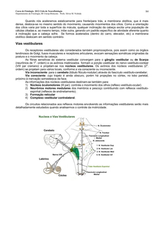 Curso de Fisiologia 2012 Ciclo de Neurofisiologia
Departamento de Fisiologia, IB Unesp-Botucatu Profa. Silvia M. Nishida
84
Quando nós aceleramos estaticamente para frente/para trás, a membrana otolítica, que é mais
densa, desloca-se no mesmo sentido do movimento, causando movimentos dos cílios. Como a orientação
dos cílios varia por toda a superfície da mácula, qualquer inclinação da cabeça excita uma população de
células ciliadas e, ao mesmo tempo, inibe outra, gerando um padrão específico de atividade aferente quanto
à inclinação que a cabeça sofre. Se formos acelerados (dentro do carro, elevador, etc) a membrana
otolítico deslocam em sentido contrário.
Vias vestibulares
Os receptores vestibulares são considerados também proprioceptivos, pois assim como os órgãos
tendinosos de Golgi, fusos musculares e receptores articulares, evocam sensações somáticas originadas da
postura e o movimento da cabeça.
As fibras sensitivas do sistema vestibular convergem para o gânglio vestibular ou de Scarpa
(neurônios de 1a
. ordem) e os axônios mielinizados formam a porção vestibular do nervo vestíbulo-coclear
(VIII par craniano) e projetam-se nos núcleos vestibulares. Os axônios dos núcleos vestibulares (2
a
.
ordem) se projetam para vários locais, conforme a via consciente ou inconsciente.
Via inconsciente: para o cerebelo (lóbulo flóculo-nodular) através do fascículo vestíbulo-cerebelar;
Via consciente: cujo trajeto é ainda obscuro, porém há projeções no córtex, no lobo parietal,
próximo à inervação somestesica da face.
As informações dos núcleos vestibulares destinam-se também para:
1) Núcleos óculomotores (III par): controla o movimento dos olhos (reflexo vestíbulo-ocular)
2) Neurônios motores medulares dos membros e pescoço contribuindo com reflexos vestíbulo-
espinhal (reflexos de endireitamento).
3) Formação reticular
4) Complexo vestibular contralateral.
Os circuitos relacionados aos reflexos motores envolvendo as informações vestibulares serão mais
detalhadamente estudados quando analisarmos o controle da motricidade.
 