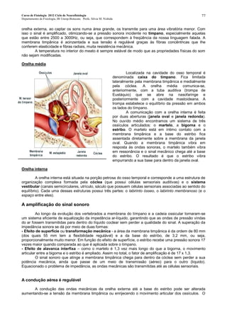 Curso de Fisiologia 2012 Ciclo de Neurofisiologia
Departamento de Fisiologia, IB Unesp-Botucatu Profa. Silvia M. Nishida
77
orelha externa, ao captar os sons numa área grande, os transmite para uma área vibratória menor. Com
isso o sinal é amplificado, otimizando-se a pressão sonora incidente no tímpano, especialmente aquelas
que estão entre 2500 a 3000Hz, ou seja, que correspondem à freqüência da nossa linguagem falada. A
membrana timpânica é acinzentada e sua tensão é regulável graças às fibras concêntricas que lhe
conferem elasticidade e fibras radiais, muita resistência mecânica.
A temperatura no interior do meato é sempre estável de modo que as propriedades físicas do som
não sejam modificadas.
Orelha média
Localizada na cavidade do osso temporal é
denominada caixa do tímpano. Fica limitada
lateralmente pela membrana timpânica e medialmente
pela cóclea. A orelha média comunica-se,
anteriormente, com a tuba auditiva (trompa de
Eustáquio) que se abre na nasofaringe e
posteriormente com a cavidade mastoideana. A
trompa estabelece o equilíbrio da pressão em ambos
os lados do tímpano.
A comunicação com a orelha interna é feita
por duas aberturas (janela oval e janela redonda).
No ouvido médio encontramos um sistema de três
ossículos articulados: o martelo, a bigorna e o
estribo. O martelo está em íntimo contato com a
membrana timpânica e a base do estribo fica
assentada diretamente sobre a membrana da janela
oval. Quando a membrana timpânica vibra em
resposta às ondas sonoras, o martelo também vibra
em ressonância e o sinal mecânico chega até a base
do estribo. O resultado é que o estribo vibra
empurrando a sua base para dentro da janela oval.
Orelha interna
A orelha interna está situada na porção petrosa do osso temporal e corresponde a uma estrutura de
organização complexa formada pela cóclea (que possui células sensoriais auditivas) e o sistema
vestibular (canais semicirculares, utrículo, sáculo que possuem células sensoriais associadas ao sentido do
equilíbrio). Cada uma dessas estruturas possui três partes: o labirinto ósseo, o labirinto membranoso (e o
espaço entre eles).
A amplificação do sinal sonoro
Ao longo da evolução dos vertebrados a membrana do tímpano e a cadeia ossicular tornaram-se
um sistema eficiente de equalização da impedância ar-líquido, garantindo que as ondas de pressão vindas
do ar fossem transmitidas para dentro do líquido coclear sem perder a qualidade do sinal. A superação da
impedância sonora se dá por meio de duas formas:
- Efeito de superfície ou transformação mecânica - a área da membrana timpânica é da ordem de 80 mm
(dos quais 55 mm tem a flexibilidade regulável) e a da base do estribo, de 3,2 mm, ou seja,
proporcionalmente muito menor. Em função do efeito de superfície, o estribo recebe uma pressão sonora 17
vezes maior quando comparada ao que é aplicada sobre o tímpano.
- Efeito de alavanca interfixa – como o martelo é 1,3 vez mais longo do que a bigorna, o movimento
articular entre a bigorna e o estribo é ampliado. Assim no total, o fator de amplificação é de 17 x 1,3.
O sinal sonoro que atinge a membrana timpânica chega para dentro da cóclea sem perder a sua
potência mecânica, ainda que passe de um meio de transmissão (aéreo) para o outro (liquido).
Equacionado o problema de impedância, as ondas mecânicas são transmitidas até as células sensoriais.
A condução aérea é regulável
A condução das ondas mecânicas da orelha externa até a base do estribo pode ser alterada
aumentando-se a tensão da membrana timpânica ou enrijecendo o movimento articular dos ossículos. O
 