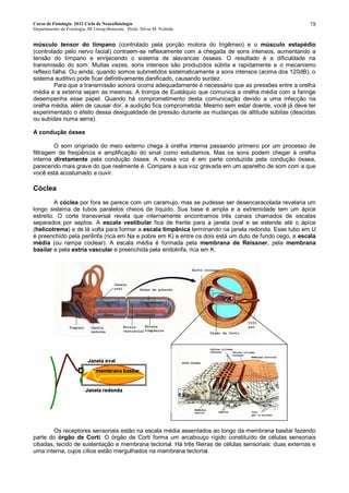 Curso de Fisiologia 2012 Ciclo de Neurofisiologia
Departamento de Fisiologia, IB Unesp-Botucatu Profa. Silvia M. Nishida
78
músculo tensor do tímpano (controlado pela porção motora do trigêmeo) e o músculo estapédio
(controlado pelo nervo facial) contraem-se reflexamente com a chegada de sons intensos, aumentando a
tensão do tímpano e enrijecendo o sistema de alavancas ósseas. O resultado é a dificuldade na
transmissão do som. Muitas vezes, sons intensos são produzidos súbita e rapidamente e o mecanismo
reflexo falha. Ou ainda, quando somos submetidos sistematicamente a sons intensos (acima dos 120dB), o
sistema auditivo pode ficar definitivamente danificado, causando surdez.
Para que a transmissão sonora ocorra adequadamente é necessário que as pressões entre a orelha
média e a externa sejam as mesmas. A trompa de Eustáquio que comunica a orelha média com a faringe
desempenha esse papel. Quando há comprometimento desta comunicação devido a uma infecção na
orelha média, além de causar dor, a audição fica comprometida. Mesmo sem estar doente, você já deve ter
experimentado o efeito dessa desigualdade de pressão durante as mudanças de altitude súbitas (descidas
ou subidas numa serra).
A condução óssea
O som originado do meio externo chega à orelha interna passando primeiro por um processo de
filtragem de freqüência e amplificação do sinal como estudamos. Mas os sons podem chegar à orelha
interna diretamente pela condução óssea. A nossa voz é em parte conduzida pela condução óssea,
parecendo mais grave do que realmente é. Compare a sua voz gravada em um aparelho de som com a que
você está acostumado a ouvir.
Cóclea
A cóclea por fora se parece com um caramujo, mas se pudesse ser desencaracolada revelaria um
longo sistema de tubos paralelos cheios de líquido. Sua base é ampla e a extremidade tem um ápice
estreito. O corte transversal revela que internamente encontramos três canais chamados de escalas
separados por septos. A escala vestibular fica de frente para a janela oval e se estende até o ápice
(helicotrema) e de lá volta para formar a escala timpânica terminando na janela redonda. Esse tubo em U
é preenchido pela perilinfa (rica em Na e pobre em K) e entre os dois está um duto de fundo cego, a escala
média (ou rampa coclear). A escala média é formada pela membrana de Reissner, pela membrana
basilar e pela estria vascular e preenchida pela endolinfa, rica em K.
Os receptores sensoriais estão na escala média assentados ao longo da membrana basilar fazendo
parte do órgão de Corti. O órgão de Corti forma um arcabouço rígido constituído de células sensoriais
ciliadas, tecido de sustentação e membrana tectorial. Há três fileiras de células sensoriais: duas externas e
uma interna, cujos cílios estão mergulhados na membrana tectorial.
 