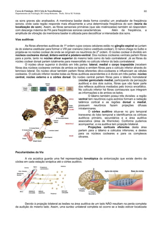 Curso de Fisiologia 2012 Ciclo de Neurofisiologia
Departamento de Fisiologia, IB Unesp-Botucatu Profa. Silvia M. Nishida
80
os sons graves são analisados. A membrana basilar desta forma constitui um analisador de freqüência
sonora, onde cada região responde mais eficazmente a uma determinada freqüência do som (teoria da
localização do som). Assim, as fibras sensoriais primárias (que são mielinizadas) também só respondem
com descarga máxima de PA para freqüências sonoras características. Além da freqüência, a
amplitude de vibração da membrana basilar é utilizada para decodificar a intensidade dos sons.
Vias auditivas
As fibras aferentes auditivas de 1ª ordem cujos corpos celulares estão no gânglio espiral se juntam
às do sistema vestibular para formar o VIII par craniano (nervo vestíbulo-coclear). O nervo chega no bulbo e
projeta-se no núcleo coclear de onde se originam os neurônios de 2
a
ordem. O núcleo coclear é dividido em
núcleos cocleares dorsal, ântero-ventral e póstero-ventral. Dos núcleos cocleares ventrais partem fibras
para a ponte, tanto no núcleo olivar superior do mesmo lado como do lado contralateral. Já as fibras do
núcleo coclear dorsal partem totalmente para mesencéfalo no colículo inferior do lado contralateral.
O núcleo olivar superior é dividido em três partes: lateral, medial e corpo trapezóide (recebem
fibras dos núcleos cocleares ventrais de ambos os lados) e emitem fibras para o colículo inferior através do
lemnisco lateral. Do núcleo olivar também partem fibras eferentes olivo-cocleares e influenciam as células
cocleares. O colículo inferior recebe todas as fibras auditivas ascendentes e é divido em três partes: núcleo
central, núcleo externo e o córtex dorsal. Do núcleo central partem fibras para o tálamo homolateral
(núcleo geniculado medial, participando da percepção
auditiva) e dos dois outros, fibras que vão fazer parte
dos reflexos auditivos mediados pelo tronco encefálico.
No colículo inferior há fibras comissurais que integram
as informações s de ambos os lados.
O tálamo também possui três divisões: a região
ventral tem neurônios cujos axônios formam a radiação
talâmica cortical e as regiões dorsal e medial,
possuem neurônios fazem projeções difusas
intralaminares.
O córtex auditivo situa-se no giro temporal
transverso do lobo temporal e identificamos os córtices
auditivos primário, secundários e a área auditiva
associativa (área de Wernicke). Conforme pudemos
acompanhar, a via auditiva tem projeção bilateral.
Projeções corticais eferentes desta área
partem para o tálamo e coliculos inferiores; e destes
para os núcleos cocleares e para os complexos
olivares.
Peculiaridades da Via
A via acústica guarda uma fiel representação tonotópica da sintonização que existe dentro da
cóclea em cada estação sináptica até o córtex auditivo.
Devido à projeção bilateral as lesões na área auditiva de um lado NÃO resultam na perda completa
da audição do mesmo lado. Assim, uma surdez unilateral completa só ocorre se a lesão estiver localizada
 