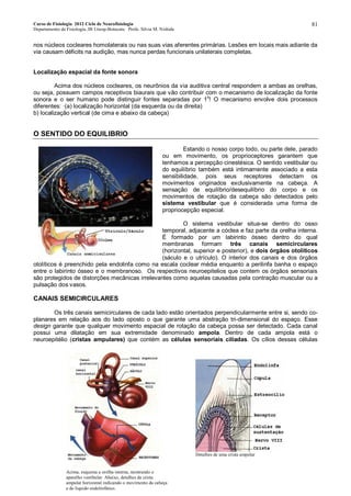 Curso de Fisiologia 2012 Ciclo de Neurofisiologia
Departamento de Fisiologia, IB Unesp-Botucatu Profa. Silvia M. Nishida
81
nos núcleos cocleares homolaterais ou nas suas vias aferentes primárias. Lesões em locais mais adiante da
via causam déficits na audição, mas nunca perdas funcionais unilaterais completas.
Localização espacial da fonte sonora
Acima dos núcleos cocleares, os neurônios da via auditiva central respondem a ambas as orelhas,
ou seja, possuem campos receptivos biaurais que vão contribuir com o mecanismo de localização da fonte
sonora e o ser humano pode distinguir fontes separadas por 1o
! O mecanismo envolve dois processos
diferentes: ·(a) localização horizontal (da esquerda ou da direita)
b) localização vertical (de cima e abaixo da cabeça)
O SENTIDO DO EQUILIBRIO
Estando o nosso corpo todo, ou parte dele, parado
ou em movimento, os proprioceptores garantem que
tenhamos a percepção cinestésica. O sentido vestibular ou
do equilíbrio também está intimamente associado a esta
sensibilidade, pois seus receptores detectam os
movimentos originados exclusivamente na cabeça. A
sensação de equilíbrio/desequilíbrio do corpo e os
movimentos de rotação da cabeça são detectados pelo
sistema vestibular que é considerada uma forma de
propriocepção especial.
O sistema vestibular situa-se dentro do osso
temporal, adjacente a cóclea e faz parte da orelha interna.
É formado por um labirinto ósseo dentro do qual
membranas formam três canais semicirculares
(horizontal, superior e posterior), e dois órgãos otolíticos
(sáculo e o utrículo). O interior dos canais e dos órgãos
otolíticos é preenchido pela endolinfa como na escala coclear média enquanto a perilinfa banha o espaço
entre o labirinto ósseo e o membranoso. Os respectivos neuroepitelios que contem os órgãos sensoriais
são protegidos de distorções mecânicas irrelevantes como aquelas causadas pela contração muscular ou a
pulsação dos vasos.
CANAIS SEMICIRCULARES
Os três canais semicirculares de cada lado estão orientados perpendicularmente entre si, sendo co-
planares em relação aos do lado oposto o que garante uma abstração tri-dimensional do espaço. Esse
design garante que qualquer movimento espacial de rotação da cabeça possa ser detectado. Cada canal
possui uma dilatação em sua extremidade denominado ampola. Dentro de cada ampola está o
neuroepitélio (cristas ampulares) que contém as células sensoriais ciliadas. Os cílios dessas células
Acima, esquema a orelha interna, mostrando o
aparelho vestibular. Abaixo, detalhes da crista
ampular horizontal indicando o movimento da cabeça
e do liquido endolinfático.
Detalhes de uma crista ampolar
 