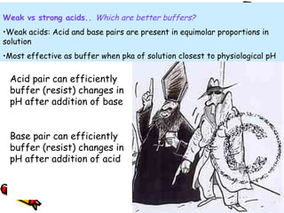 Acid pair can efficiently
buffer (resist) changes in
pH after addition of base
Base pair can efficiently
buffer (resist) changes in
pH after addition of acid
Weak vs strong acids.. Which are better buffers?
•Weak acids: Acid and base pairs are present in equimolar proportions in
solution
•Most effective as buffer when pka of solution closest to physiological pH
 