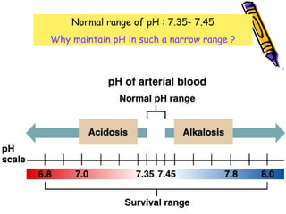 Normal range of pH : 7.35- 7.45
Why maintain pH in such a narrow range ?
 