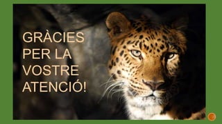 GRÀCIES
PER LA
VOSTRE
ATENCIÓ!
 